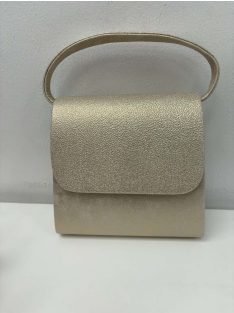 Alkalmi Arany-Matt Mimi Táska