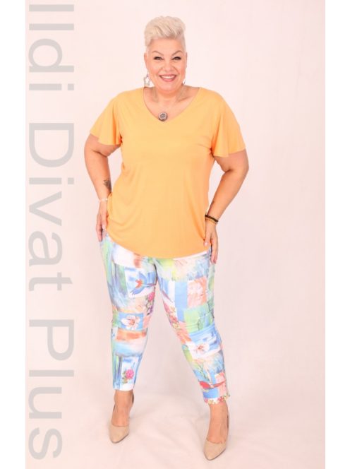 Livello Narancs V Nyakú Felső