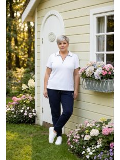 Navigazione Fehér-Kék Ferran Felső