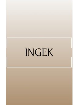  Ingek